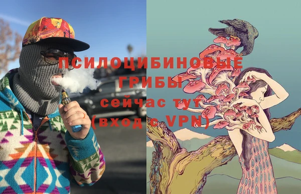 гидра Богородск