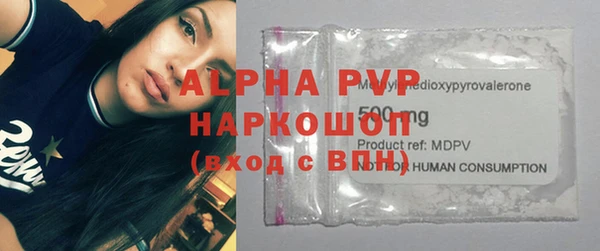 гидра Богородск