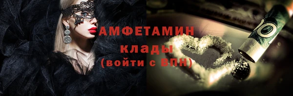 гидра Богородск