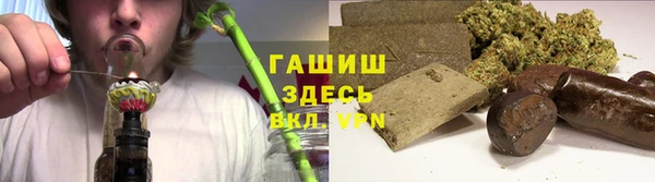 гидра Богородск