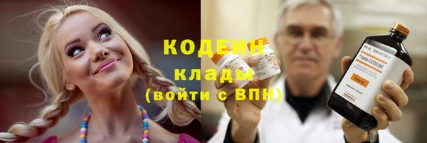 гидра Богородск