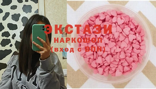 гидра Богородск