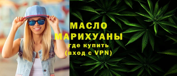 гидра Богородск