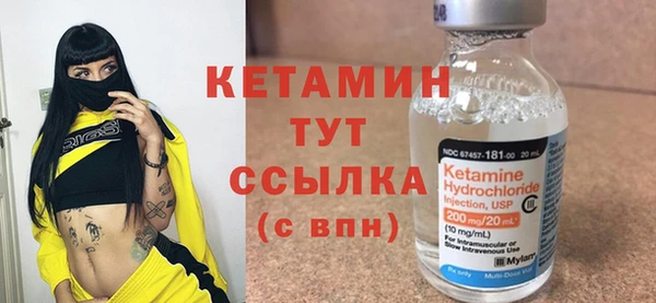 гидра Богородск